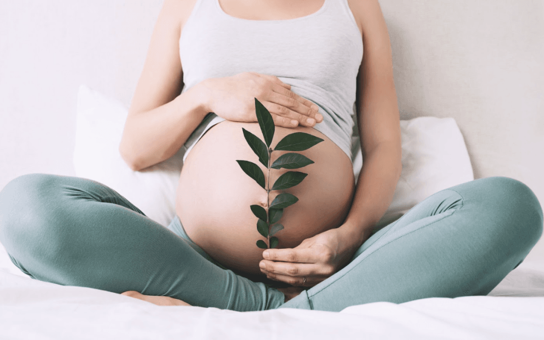 A pregnant woman sits cross-legged at a wellness clinic, holding a green leafy stem over her belly, with hands resting on her bump.